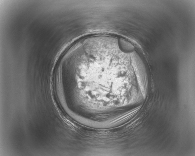 X0000053151279200508081401