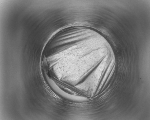 X0000053151280200508081401