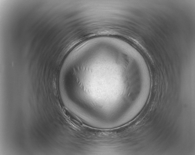 X0000053151281200508081401