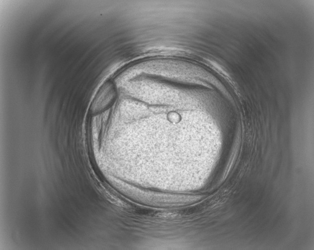 X0000053151283200508081401