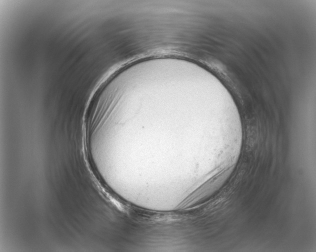 X0000053151286200508081401