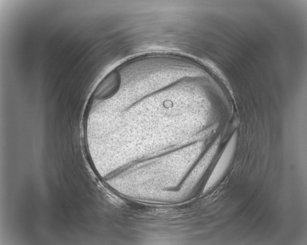 X0000053151287200508081401