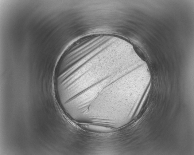 X0000053151288200508081401