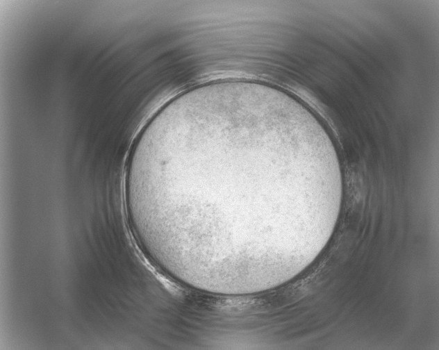 X0000053151290200508081401