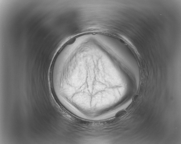 X0000053151291200508081400