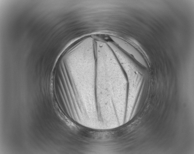 X0000053151292200508081400