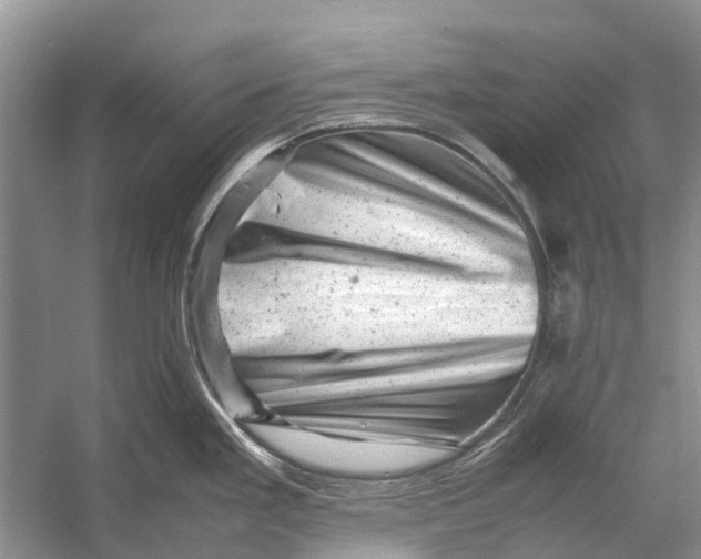 X0000053151293200508081400