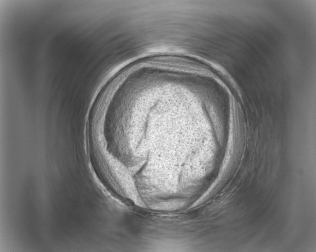 X0000053151295200508081400