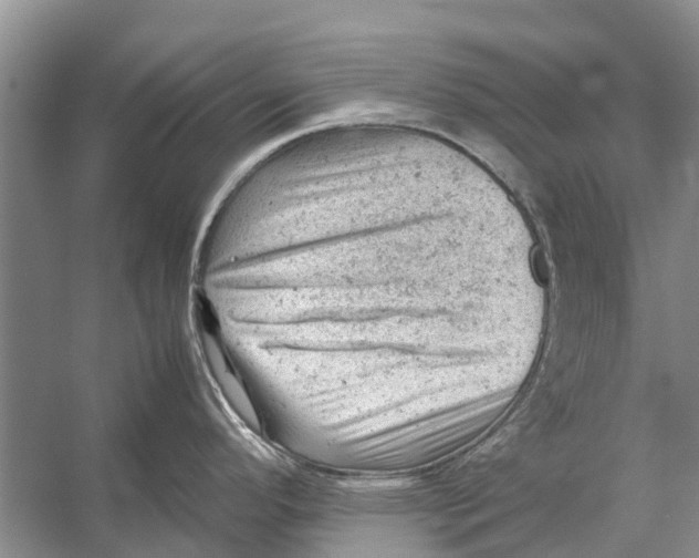 X0000053151296200508081400