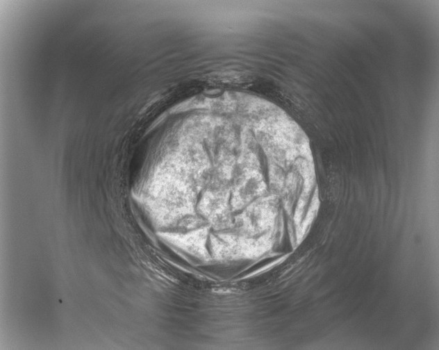 X0000053151297200508081400