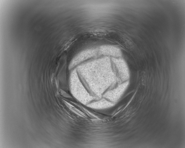 X0000053151298200508081400