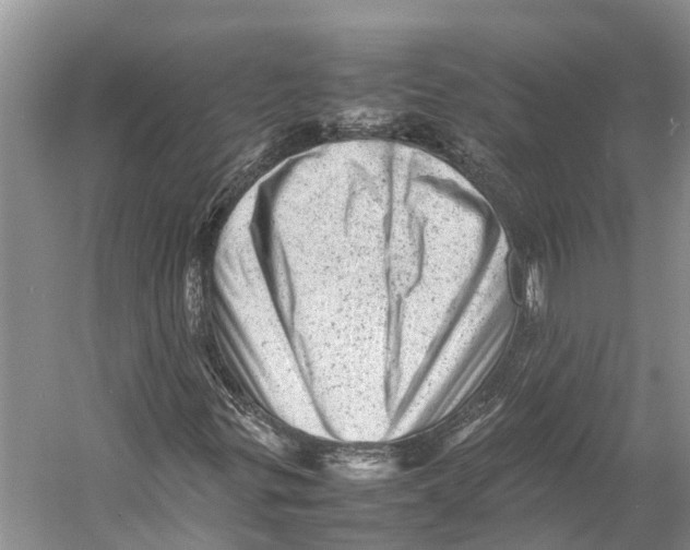 X0000053151299200508081400