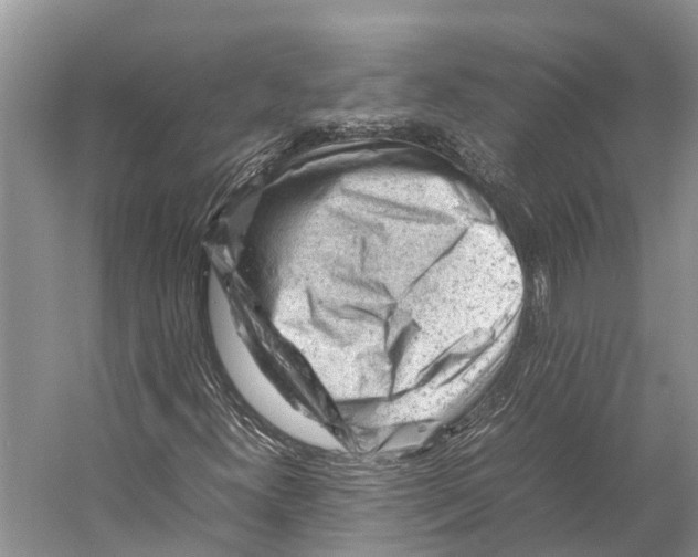 X0000053151300200508081400