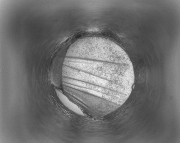 X0000053151301200508081400