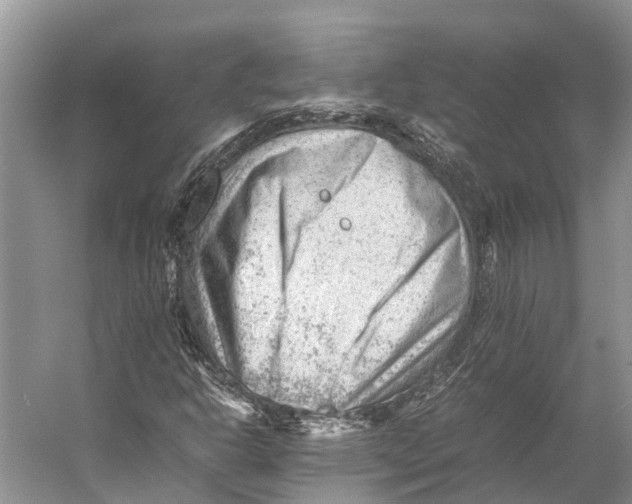 X0000053151302200508081400