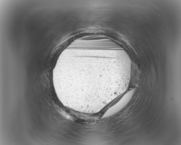 X0000053151304200508081400