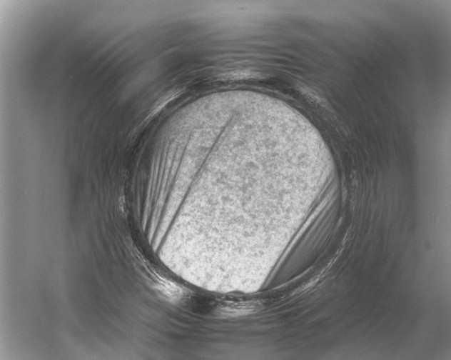 X0000053151305200508081400