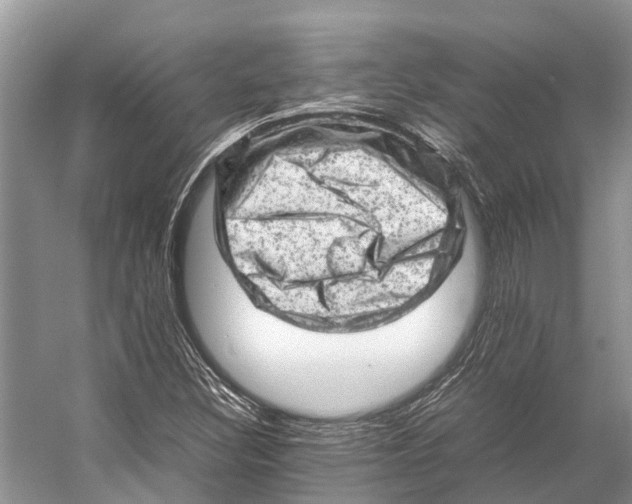 X0000053151308200508081400