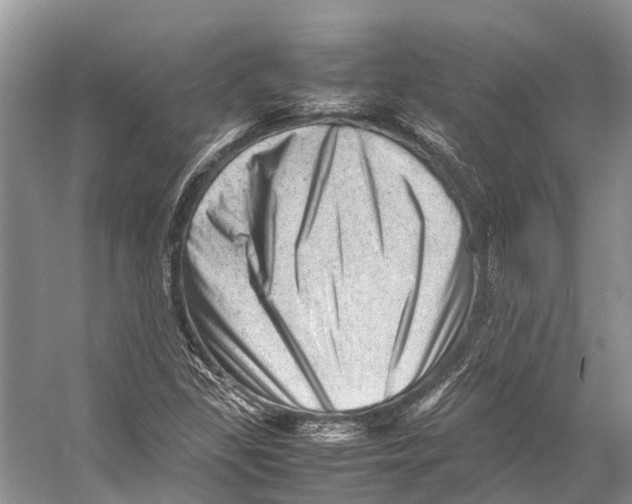 X0000053151309200508081400