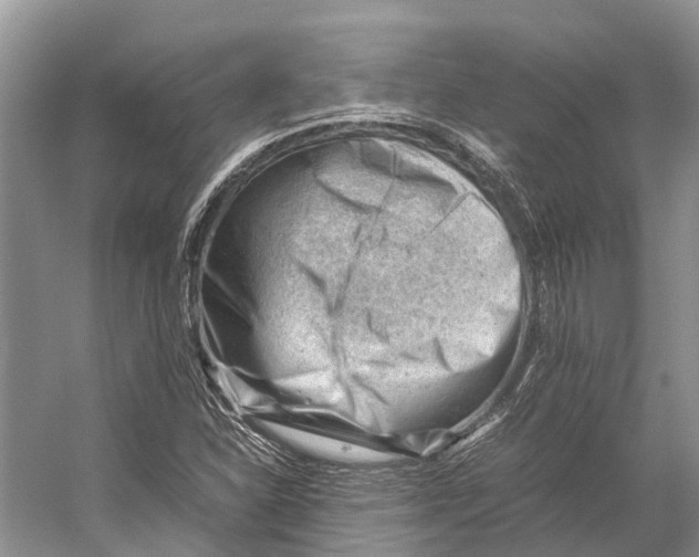 X0000053151310200508081400