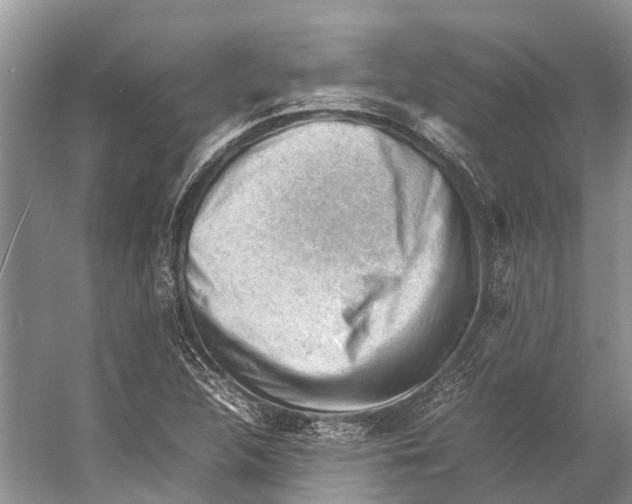 X0000053151312200508081400