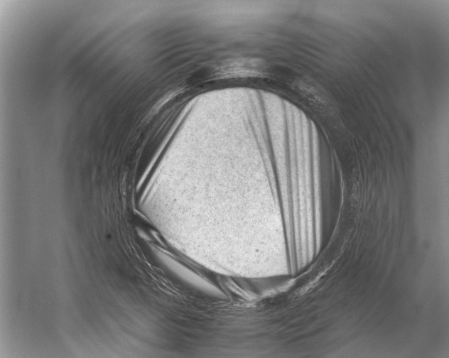 X0000053151313200508081400