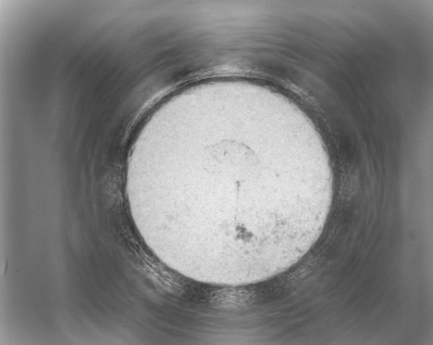 X0000053151314200508081400