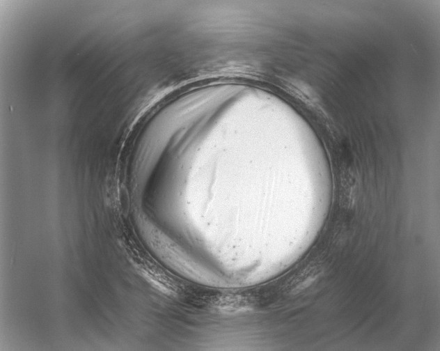 X0000053151316200508081400