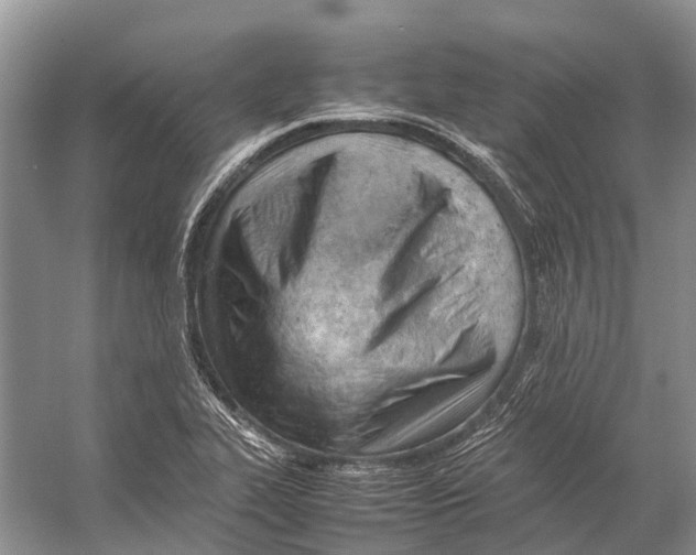 X0000053151319200508081400