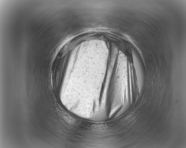 X0000053151320200508081400