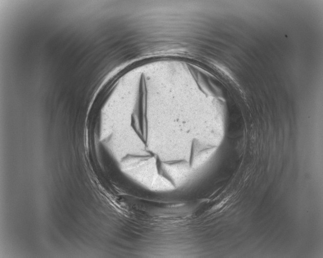 X0000053151324200508081400