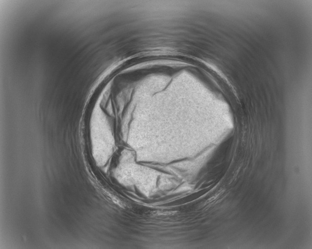 X0000053151325200508081400