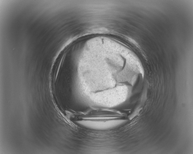 X0000053151326200508081400