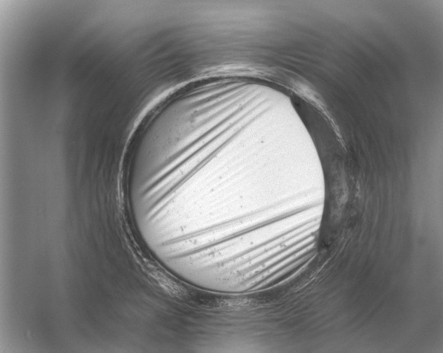 X0000053151328200508081400