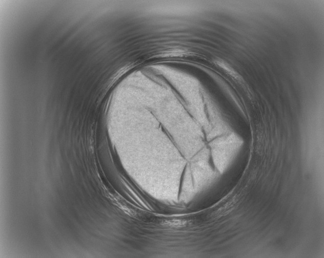 X0000053151329200508081400