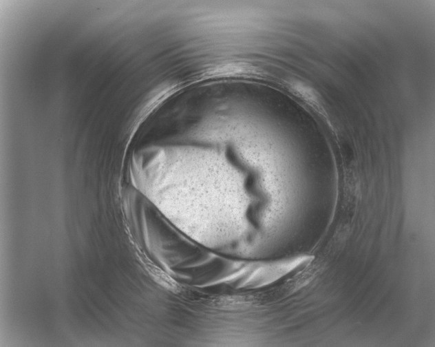 X0000053151330200508081400