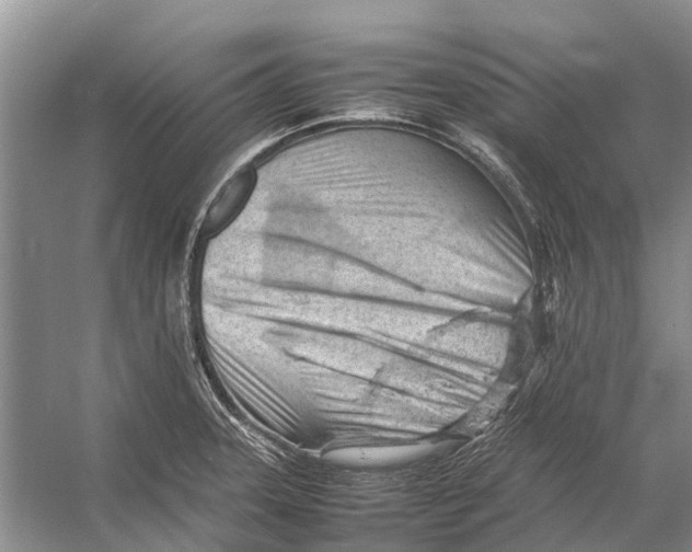 X0000053151331200508081400