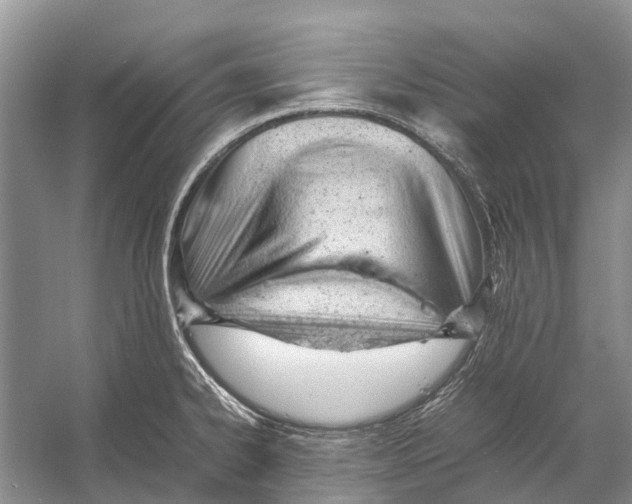 X0000053151334200508081400