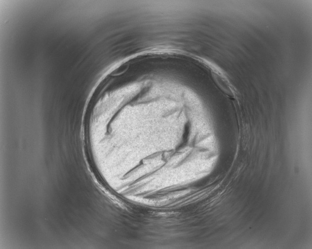 X0000053151335200508081400