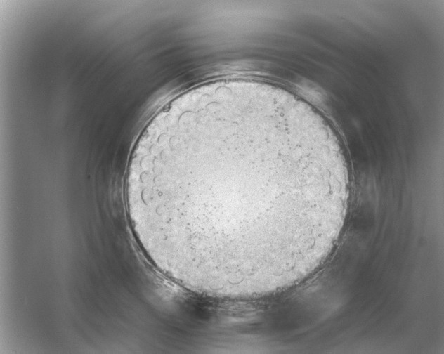 X0000053151338200508081400