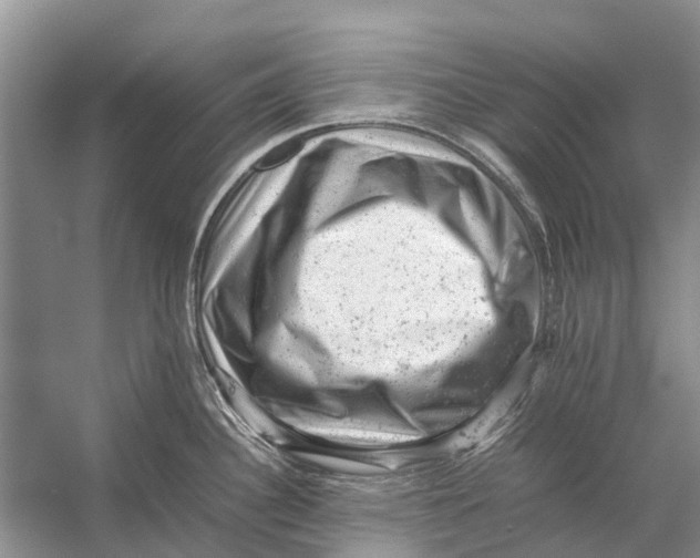 X0000053151340200508081400