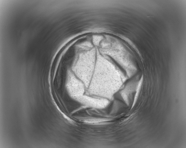 X0000053151343200508081400