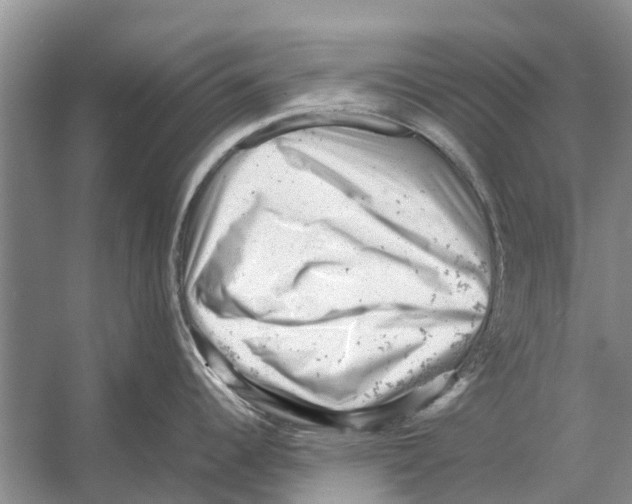 X0000053151344200508081400