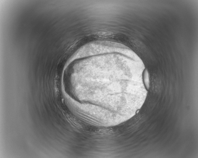 X0000053151346200508081400