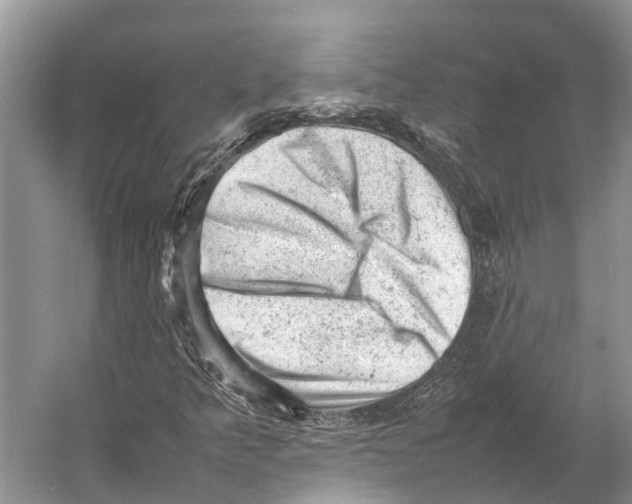 X0000053151349200508081400