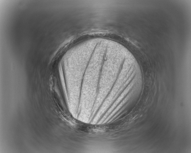 X0000053151351200508081359