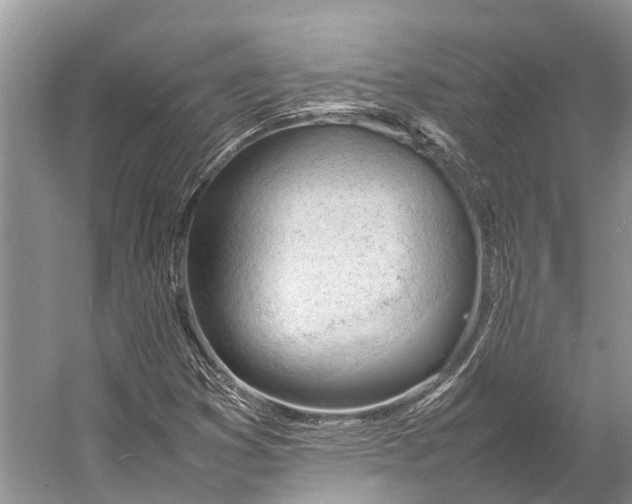 X0000053151353200508081359