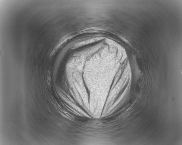 X0000053151355200508081359