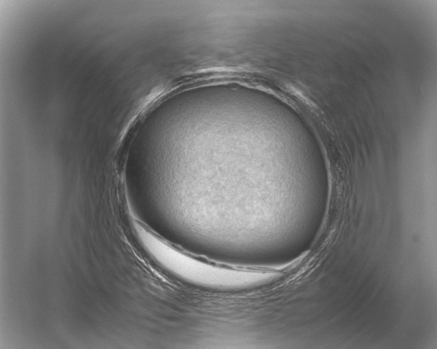 X0000053151357200508081359