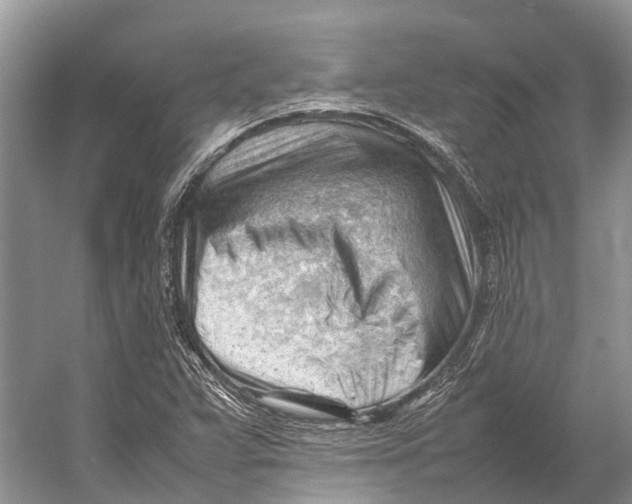 X0000053151359200508081359